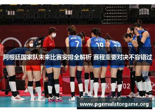 阿根廷国家队未来比赛安排全解析 赛程重要对决不容错过