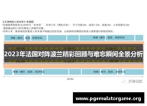 2023年法国对阵波兰精彩回顾与难忘瞬间全景分析