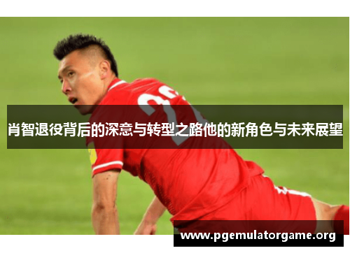 肖智退役背后的深意与转型之路他的新角色与未来展望