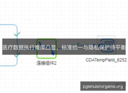 医疗数据执行难度凸显，标准统一与隐私保护待平衡